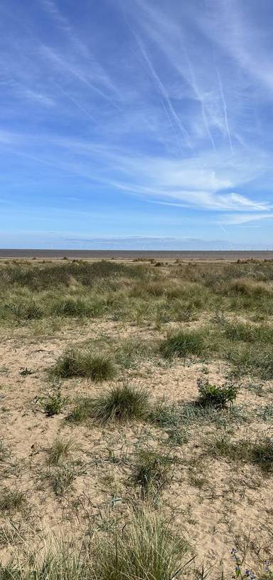 Preview of Chapel St Leonards to Chapel Point