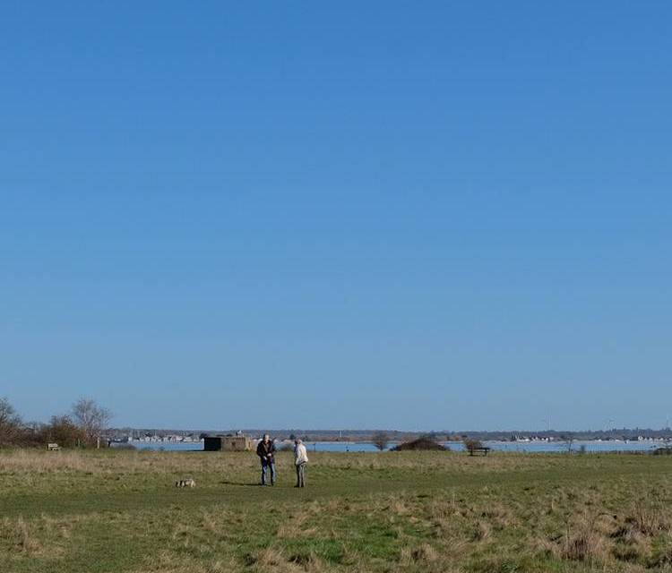 Preview of Cudmore Grove World War Two Trail