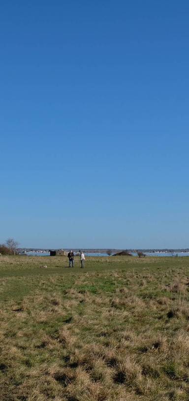 Preview of Cudmore Grove World War Two Trail