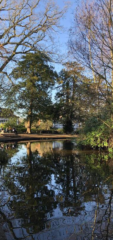 Preview of The Bromley Common Loop