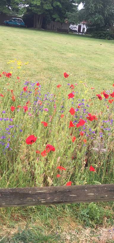 Preview of East Preston Yarn Bombing Sisters