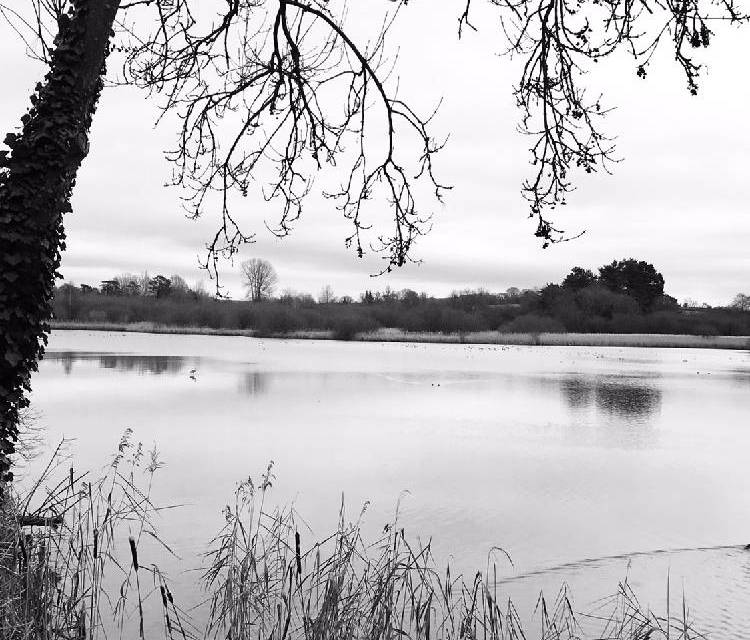 Preview of Old Alresford Pond
