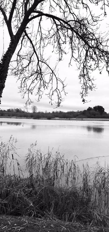 Preview of Old Alresford Pond