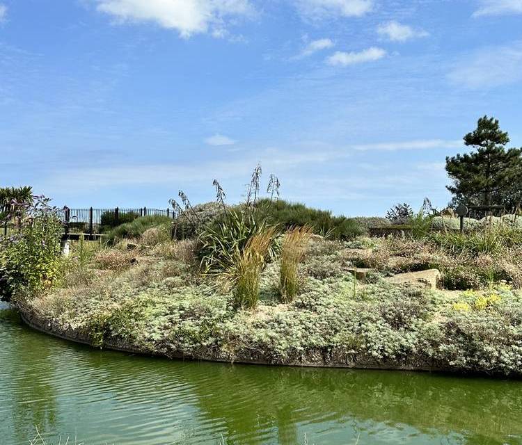 Preview of Wander Great Yarmouths Waterways