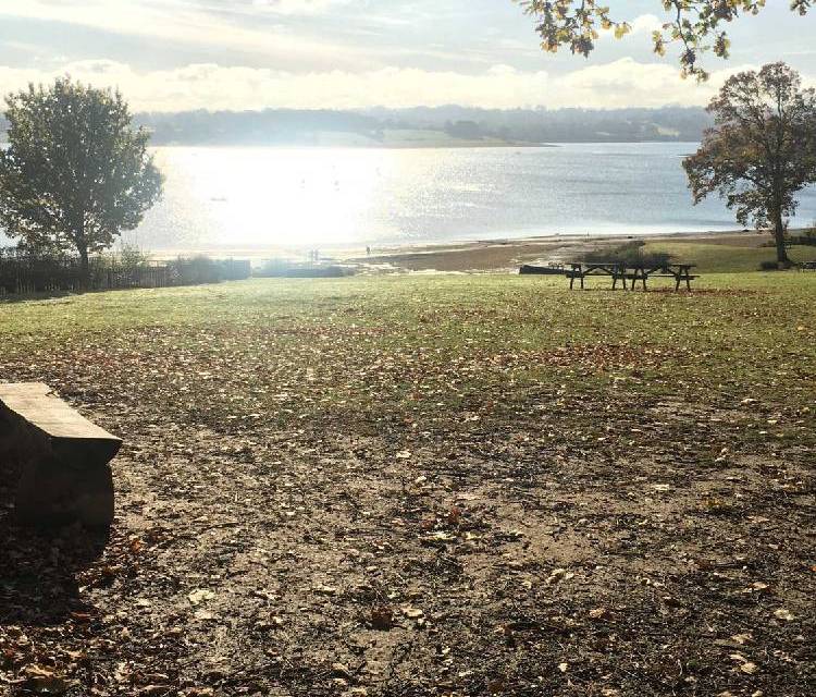 Preview of A short walk at Bewl Water