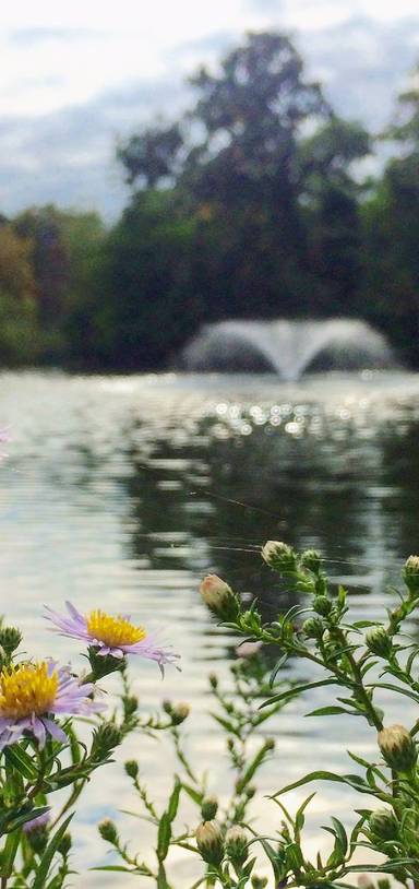 Preview of Clissold Park