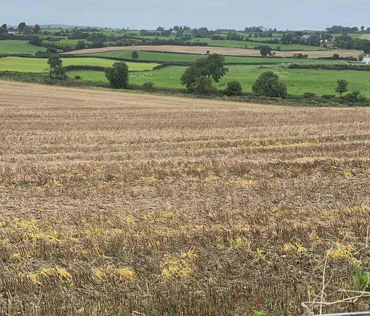 Preview of Ardstraw Countryside Loop