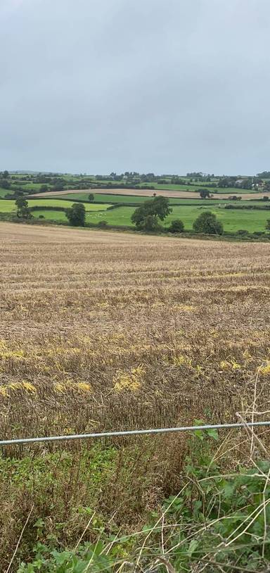 Preview of Ardstraw Countryside Loop
