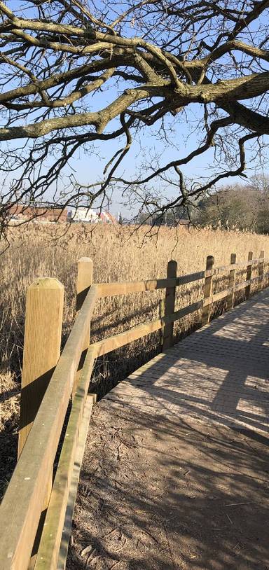 Preview of Eling Tide Mill - Accessible Route