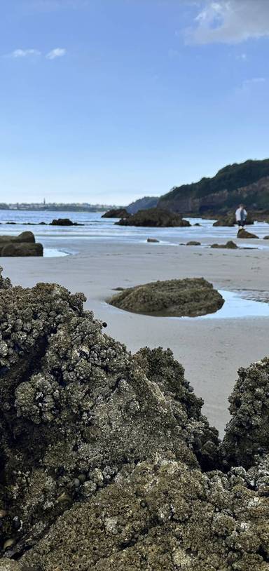 Preview of Monkstone Beach Meander 