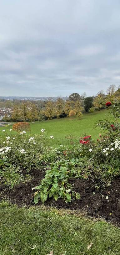 Preview of Knowle Three Park Challenge