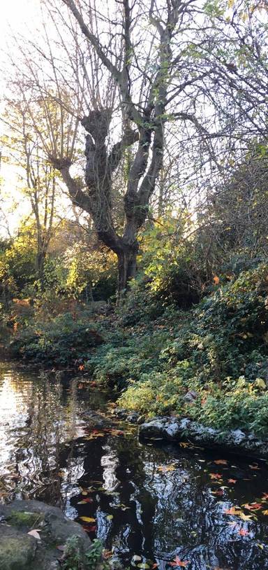 Preview of Highbury Fields to New River Park