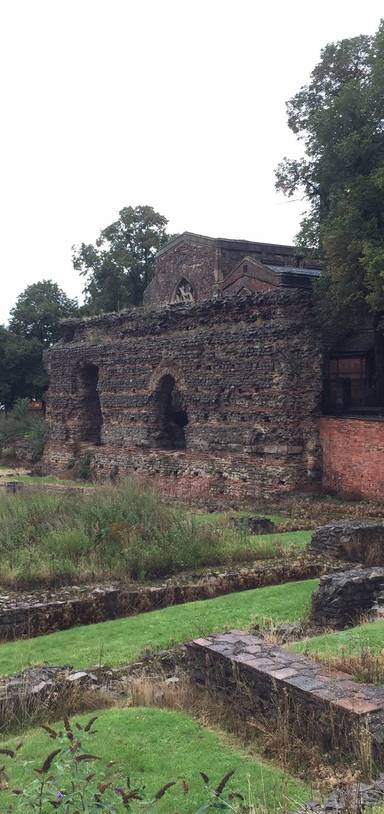 Preview of Historic Leicester