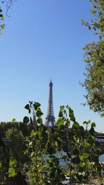 Preview of Arc de Triomphe, Champs-Elysées & 🗼
