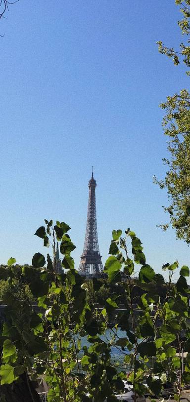 Preview of Arc de Triomphe, Champs-Elysées & 🗼