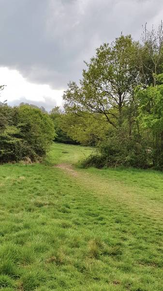 Preview of London Loop section 18