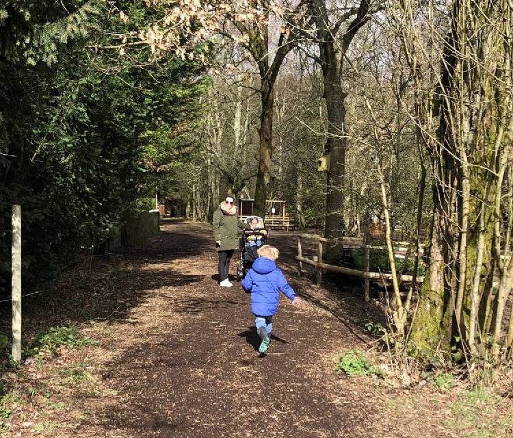 Preview of Cooling’s Nature Trail