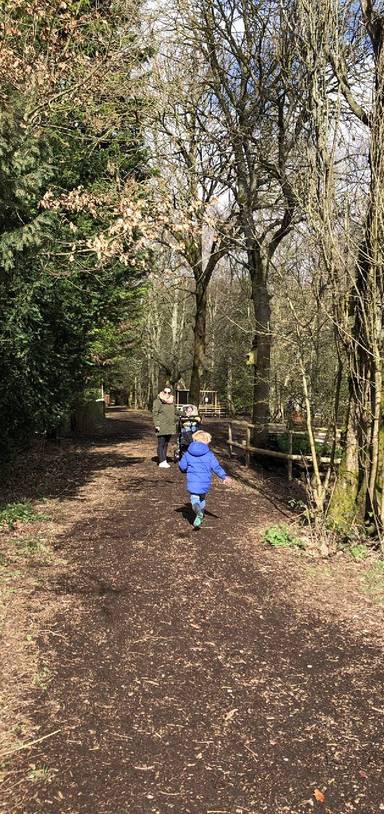 Preview of Cooling’s Nature Trail