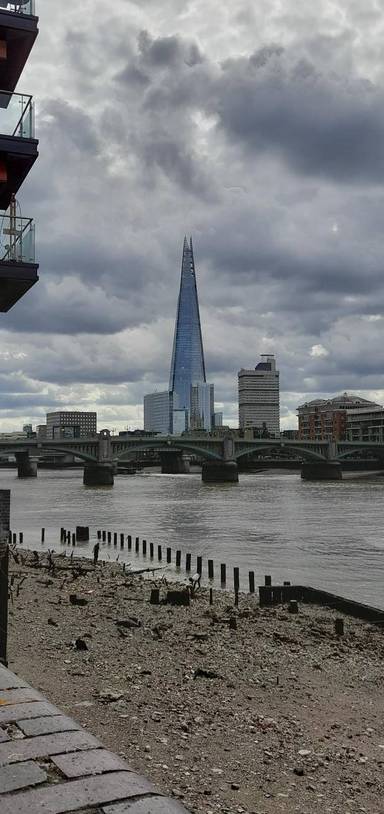 Preview of Thames Lark