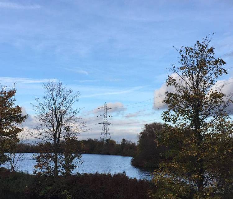 Preview of East london nature trail