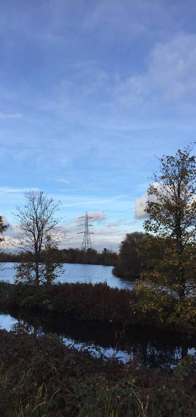 Preview of East london nature trail