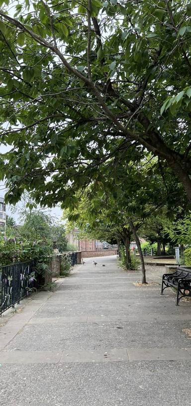 Preview of River Ouse Lunchtime Loop