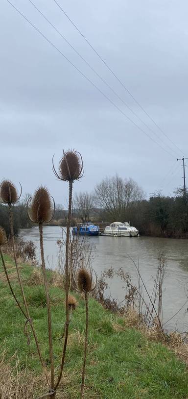 Preview of Pinkhill Lane to the Thames