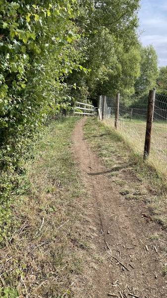 Preview of South Marston circular