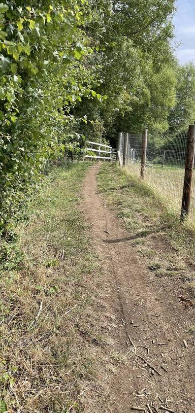 Preview of South Marston circular