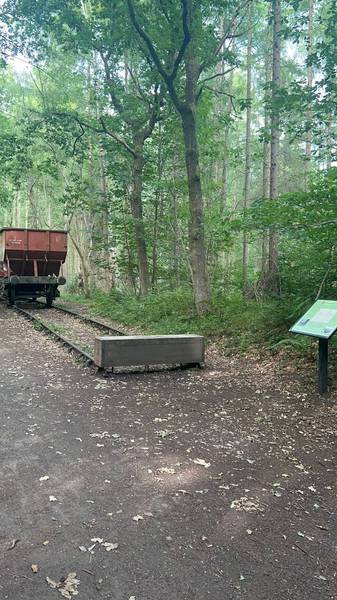 Preview of The Bank to Chopwell wood