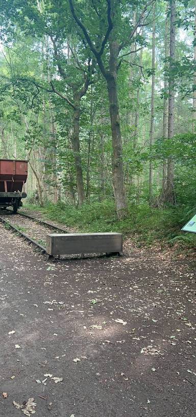 Preview of The Bank to Chopwell wood