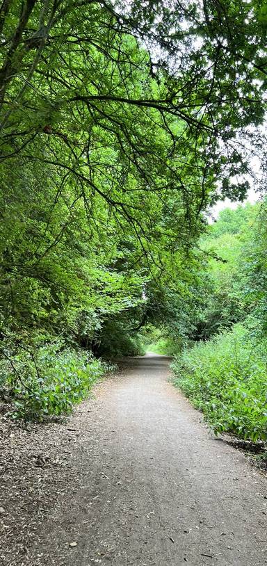 Preview of Henfield Village to Downs Link Loop