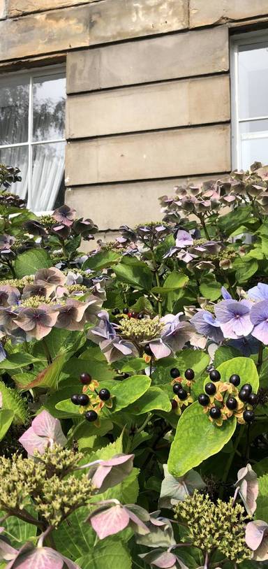 Preview of InterNoise Loop 30min: Kelvingrove