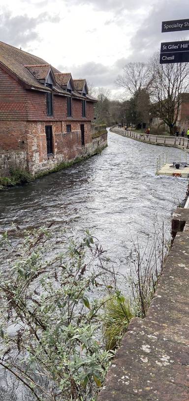 Preview of Itchen Navigation: Step Free Jaunt