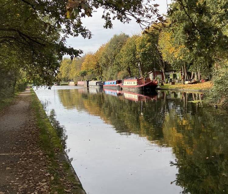 Preview of Southall Square Urban Nature Trail