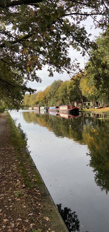 Preview of Southall Square Urban Nature Trail