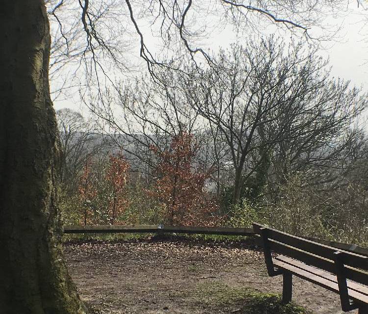 Preview of St Giles Hill & the Golden Lion Pub