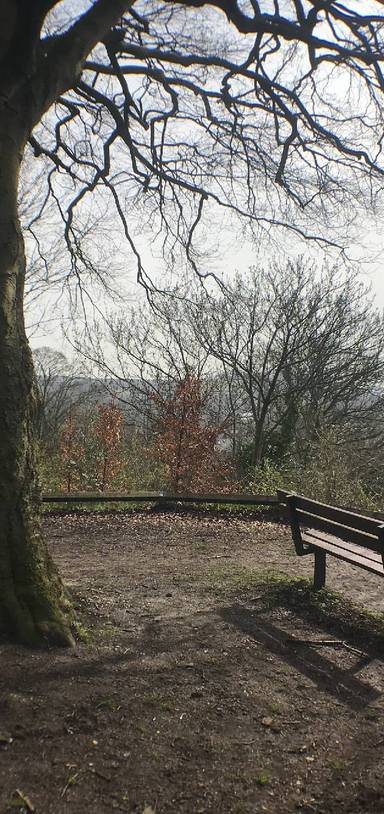 Preview of St Giles Hill & the Golden Lion Pub