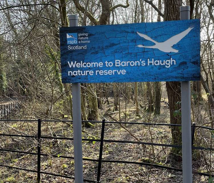 Preview of Baron’s Haugh trail