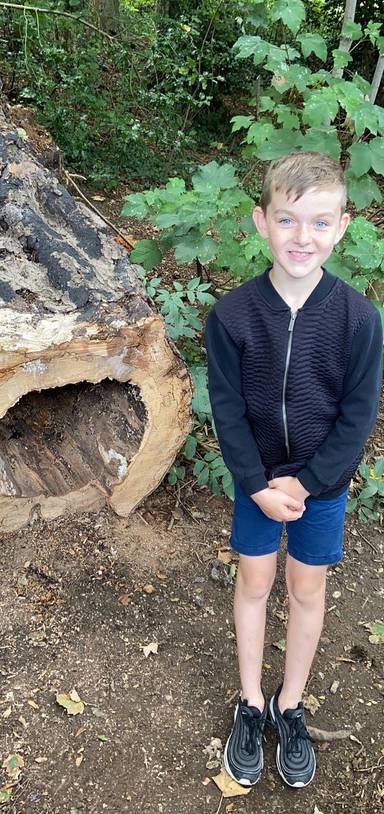 Preview of The Three Cornered Copse, Hove