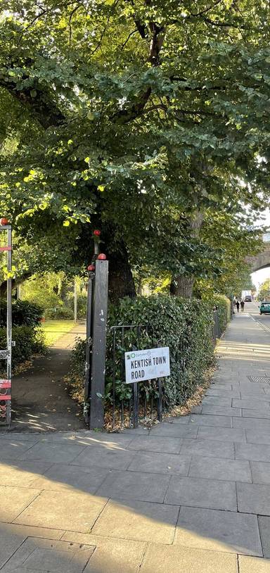 Preview of Loop below Camden’s future Highline