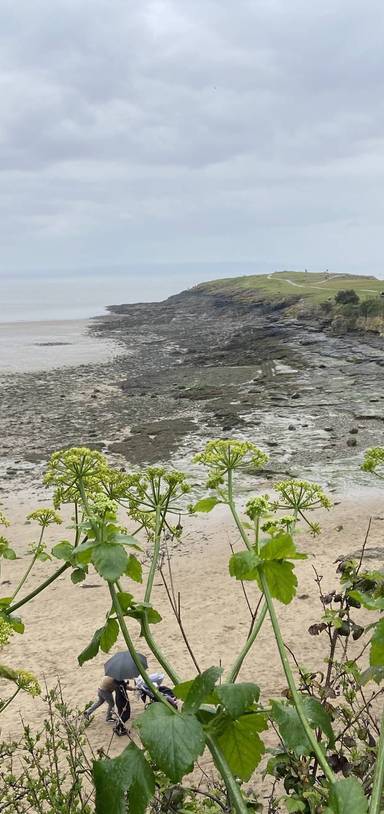 Preview of Whitmore Bay Ramble