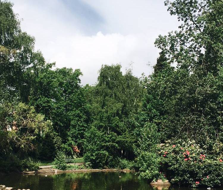 Preview of Birds, ponds & flowers
