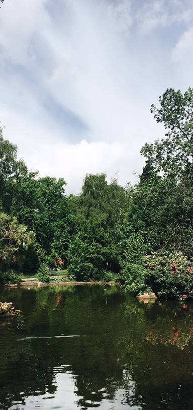 Preview of Birds, ponds & flowers