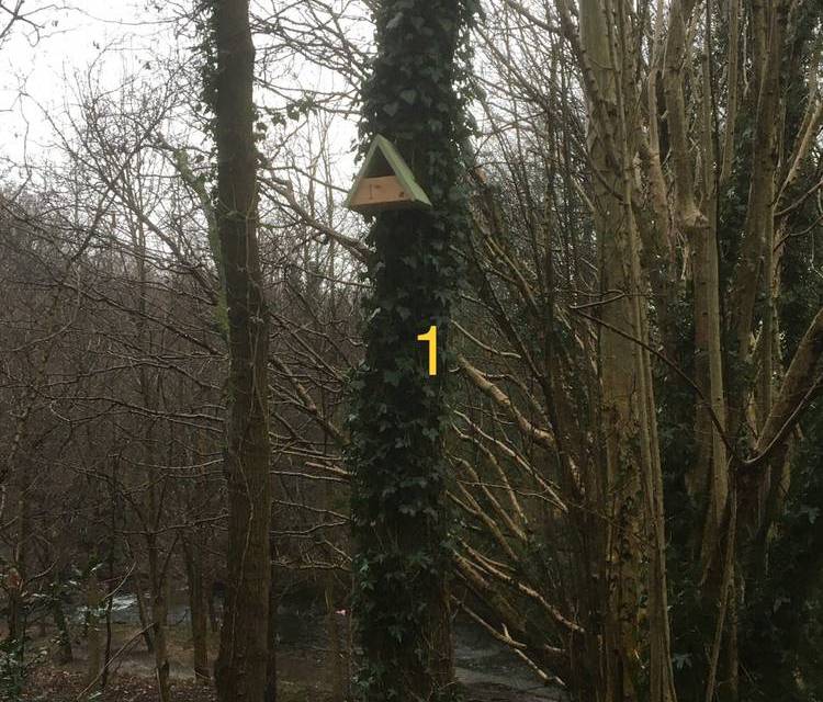 Preview of Alkrington Woods Bird Box trail 1