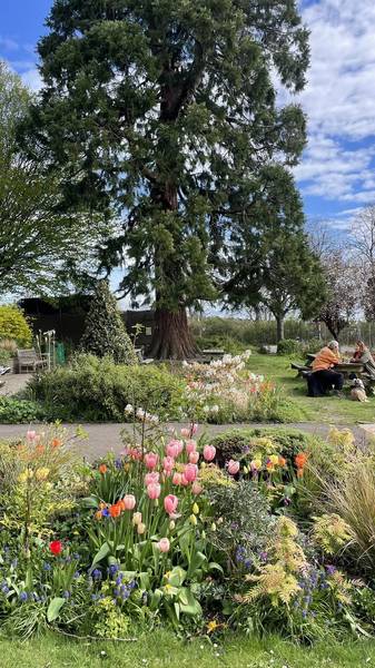 Preview of Horfield Common & Golden Hill Loop