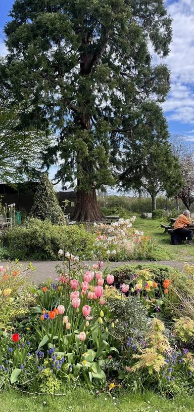 Preview of Horfield Common & Golden Hill Loop