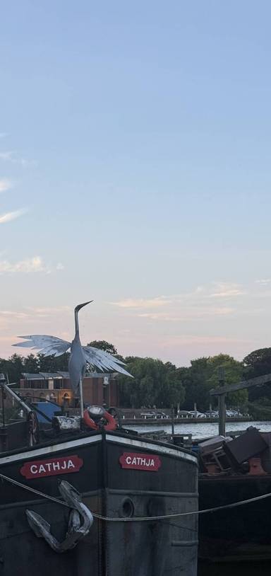 Preview of Mill River/DNR Twickenham - Thames