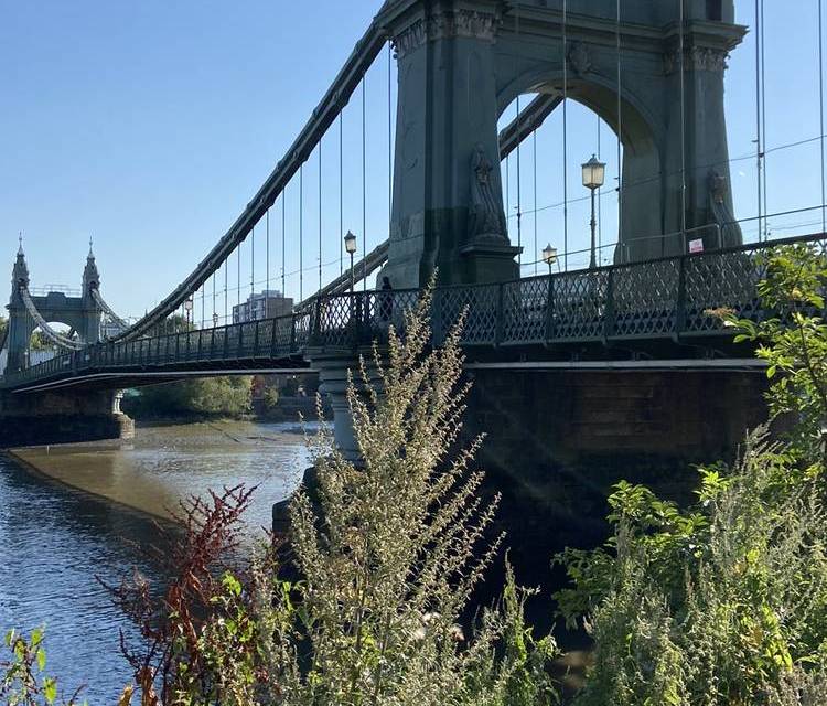 Preview of Thames Path South Bank Section 1c
