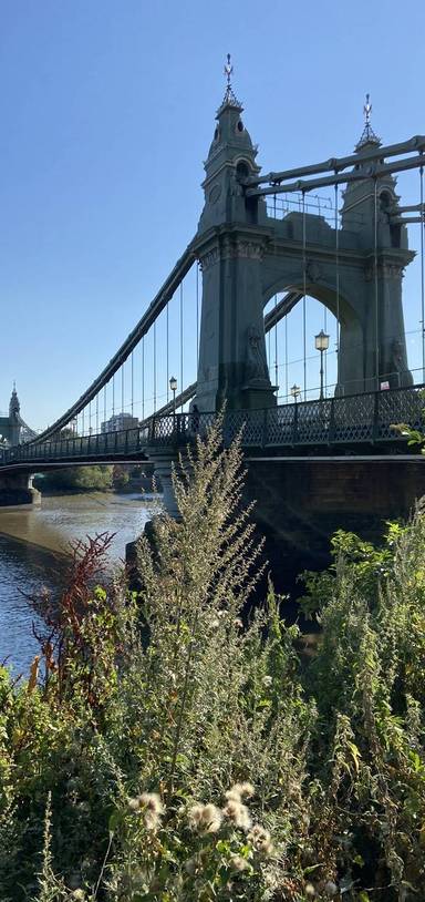 Preview of Thames Path South Bank Section 1c